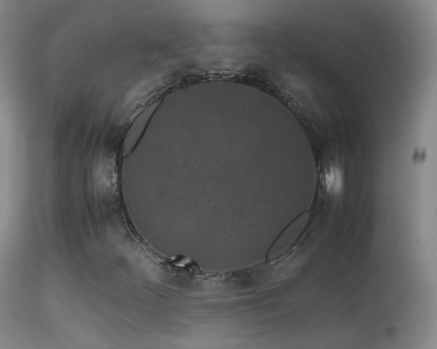 X0000113331252200909141418