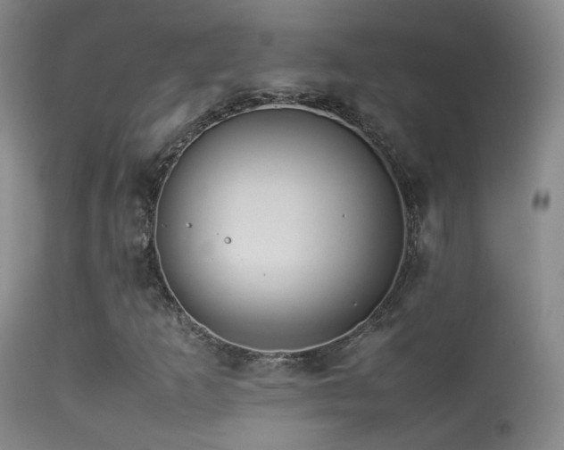X0000113331253200909141418