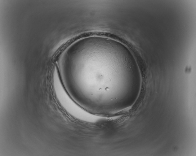 X0000113331255200909141418
