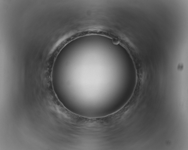 X0000113331256200909141418