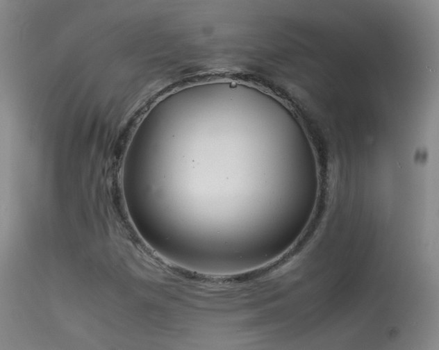X0000113331257200909141418