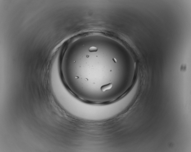 X0000113331260200909141418