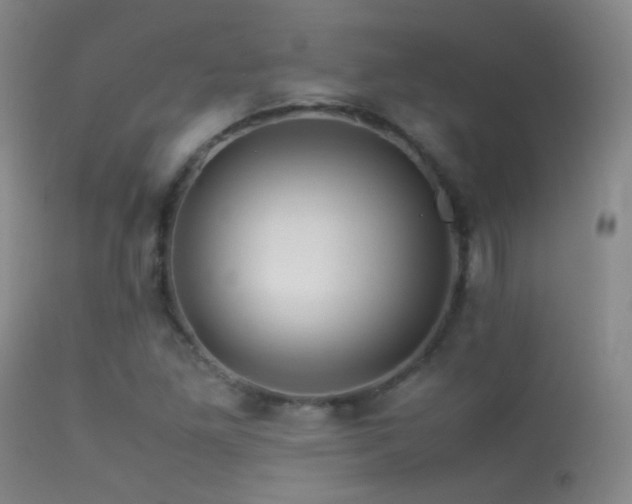X0000113331261200909141418