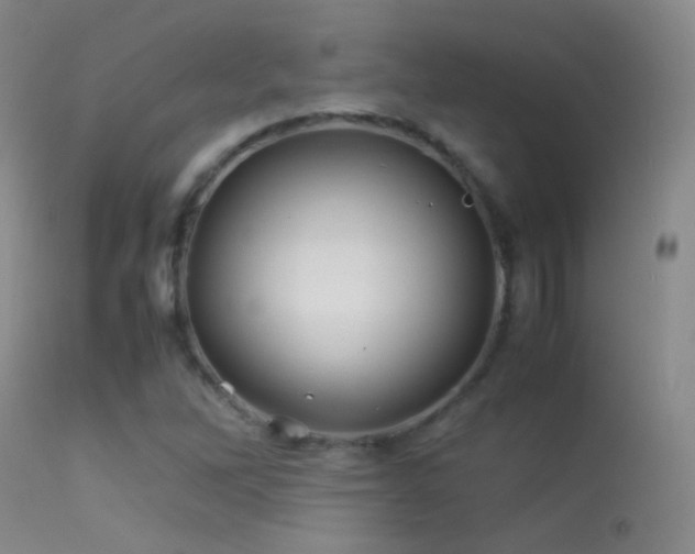 X0000113331262200909141418