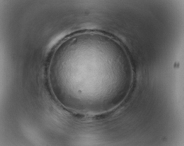 X0000113331263200909141418