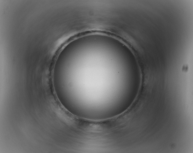 X0000113331264200909141418