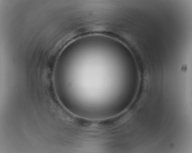 X0000113331265200909141418