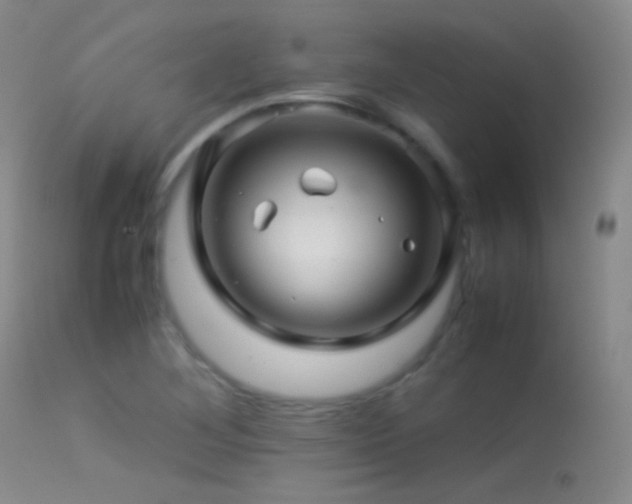 X0000113331268200909141418