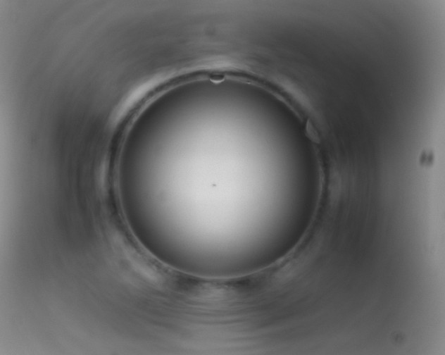 X0000113331270200909141418