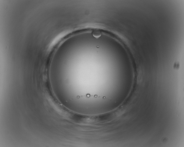 X0000113331271200909141418