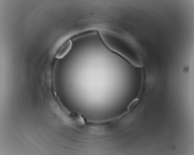X0000113331272200909141418