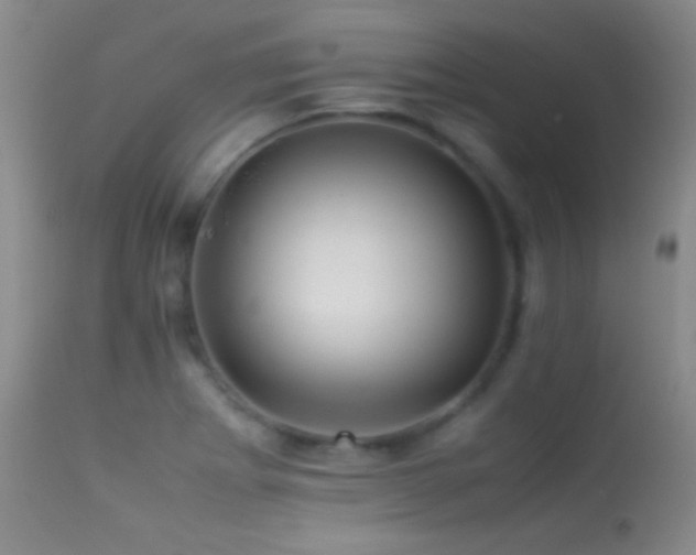 X0000113331273200909141418