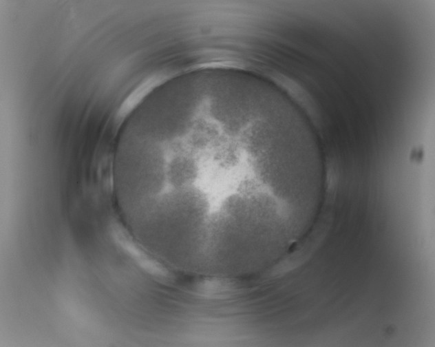 X0000113331274200909141418