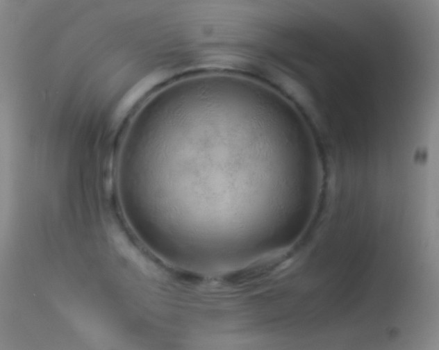 X0000113331275200909141418