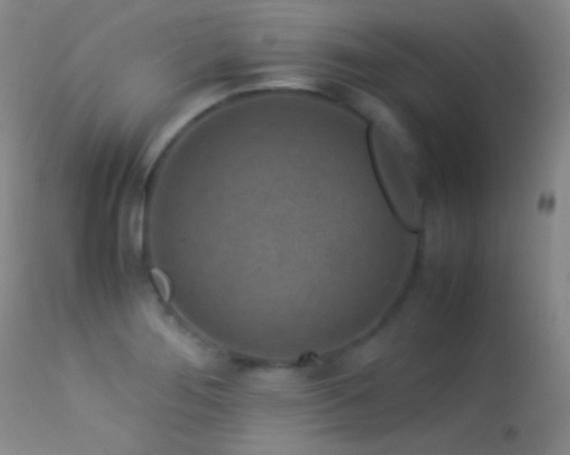 X0000113331276200909141418