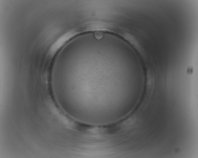 X0000113331277200909141418