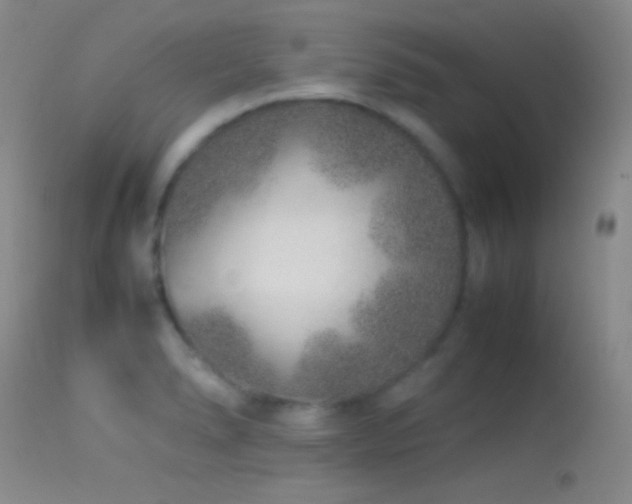 X0000113331278200909141418