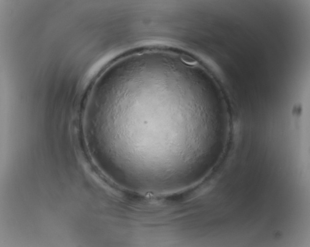 X0000113331279200909141418