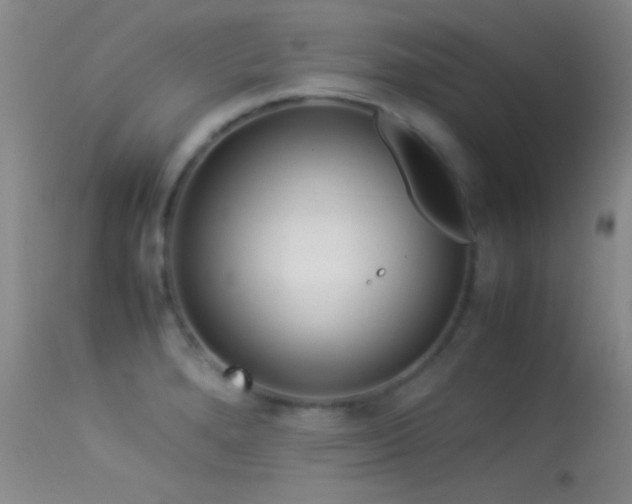 X0000113331280200909141418