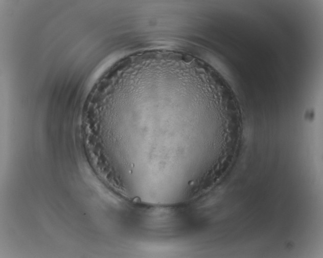 X0000113331283200909141418
