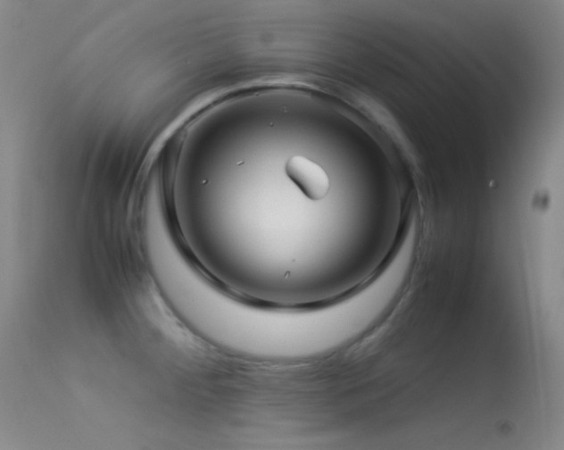 X0000113331284200909141418