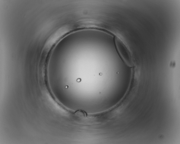 X0000113331285200909141418