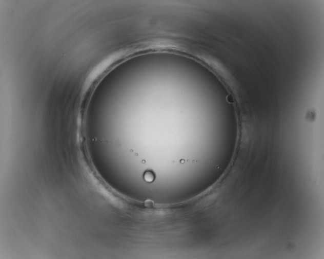 X0000113331286200909141418