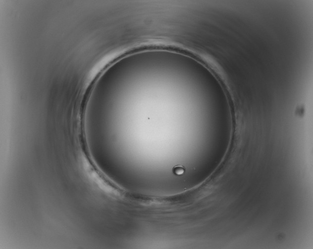 X0000113331287200909141418