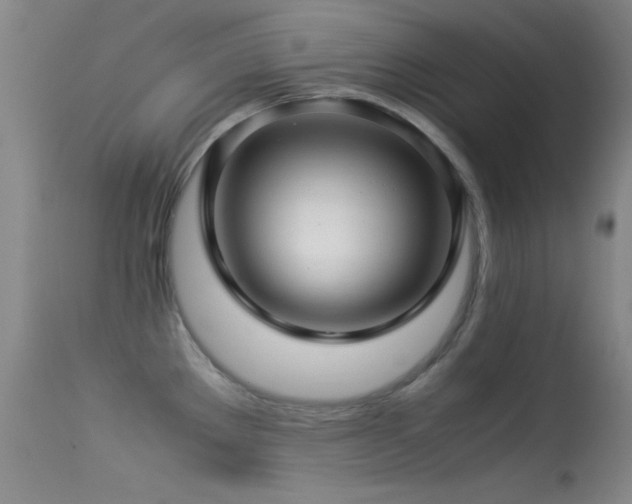 X0000113331289200909141418
