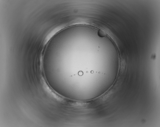 X0000113331290200909141418