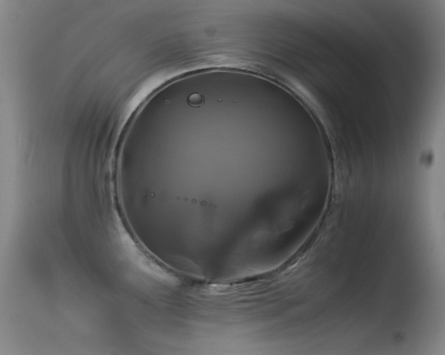 X0000113331291200909141418