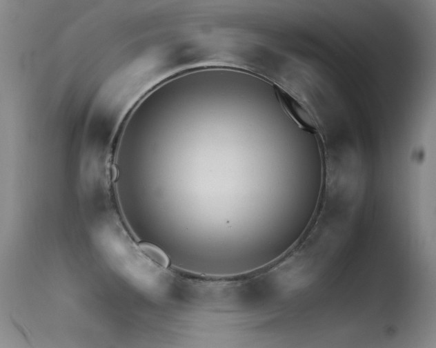 X0000113331292200909141418