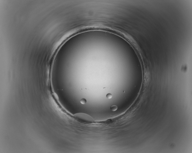 X0000113331295200909141418