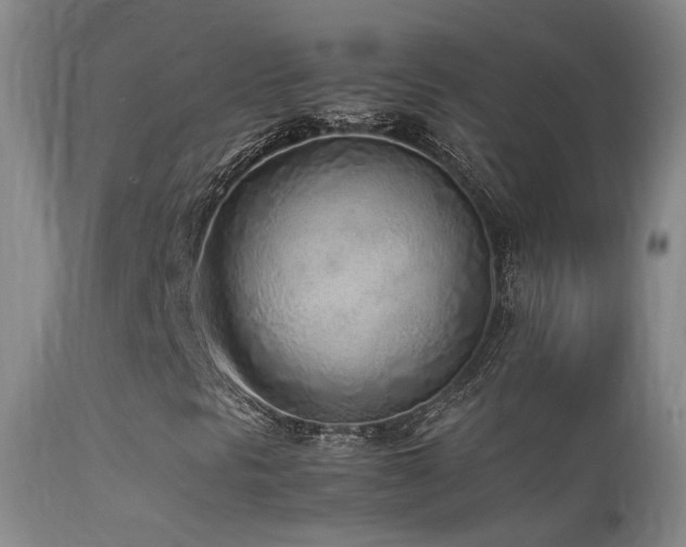 X0000113331297200909141417