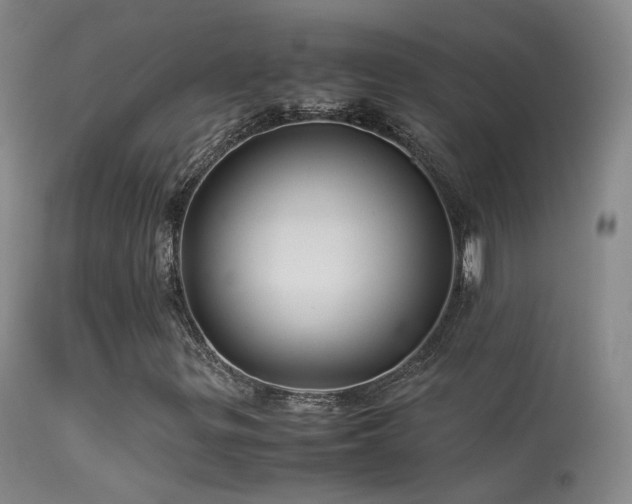 X0000113331299200909141417