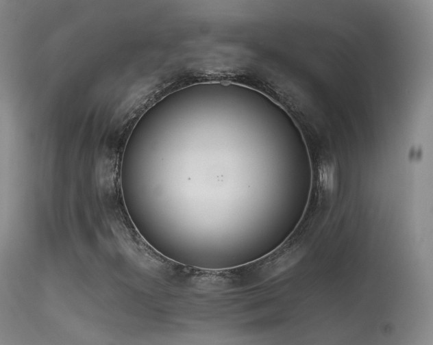 X0000113331300200909141417