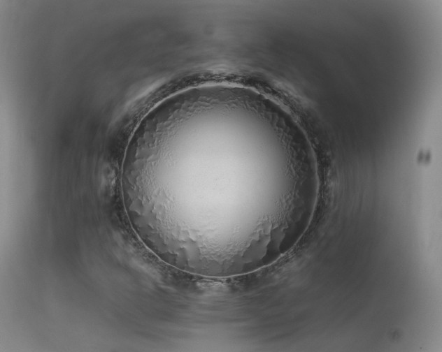 X0000113331302200909141417