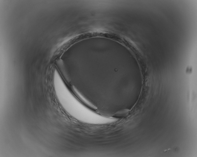 X0000113331303200909141417