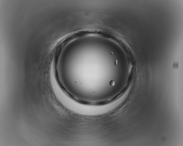 X0000113331304200909141417
