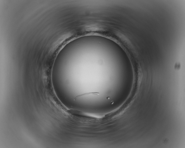 X0000113331305200909141417