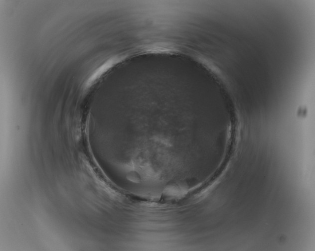 X0000113331306200909141417