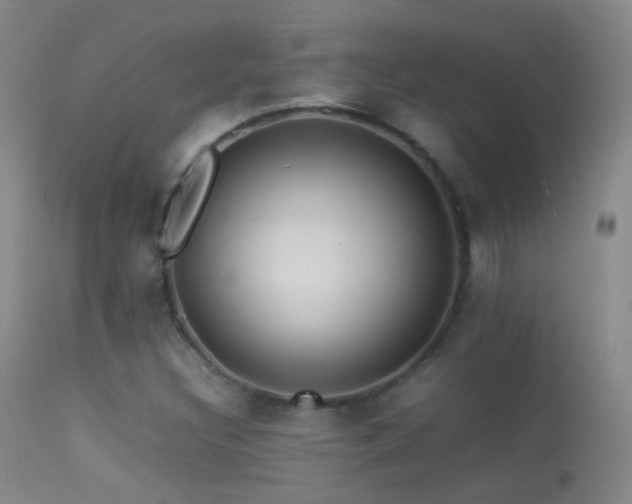 X0000113331308200909141417