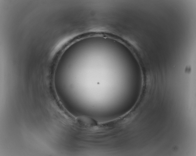 X0000113331311200909141417