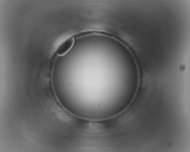 X0000113331312200909141417