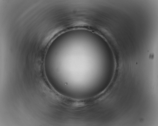 X0000113331313200909141417