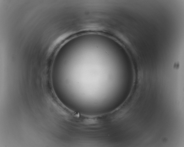 X0000113331315200909141417