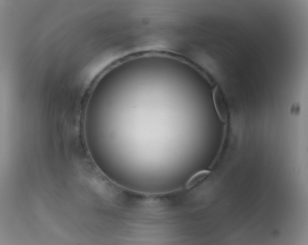 X0000113331316200909141417