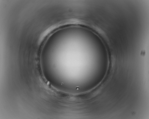X0000113331318200909141417
