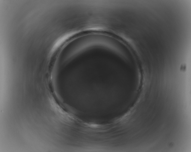 X0000113331319200909141417