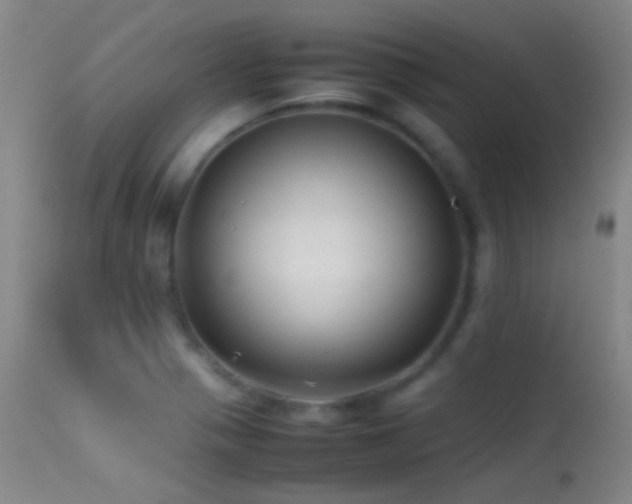 X0000113331321200909141417